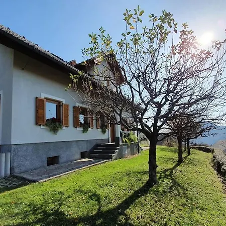 House Pucnk-beautiful Countryside