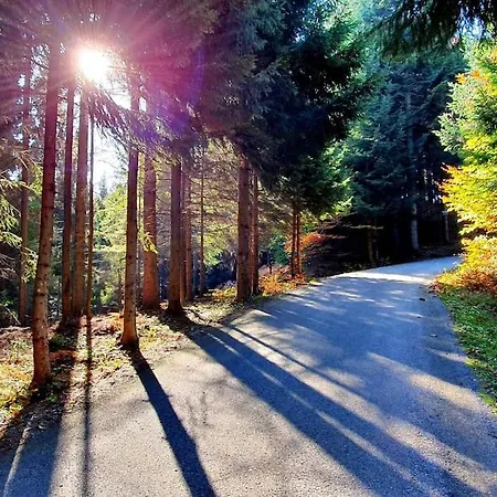 House Pucnk-beautiful Countryside Vikendica Zelezniki